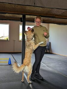 Crossdogging 4LuckyPaws