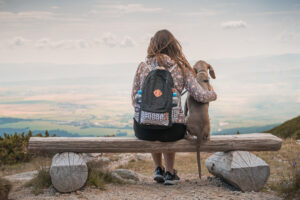 Fokus Hund - Hundepersönlichkeiten Hundeschule 4LuckyPaws