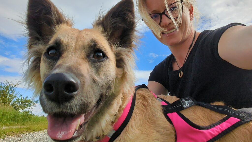 Hundeschule 4LuckyPaws