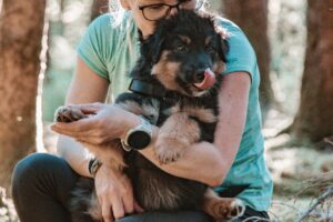 Hundeschule 4LuckyPaws Hundetraining Welpen im Kontakt