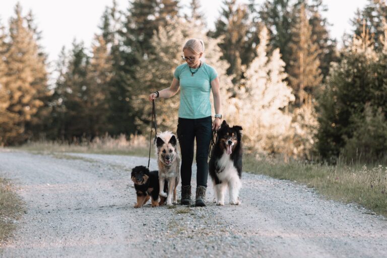 Hundeschule 4LuckyPaws Hundetraining